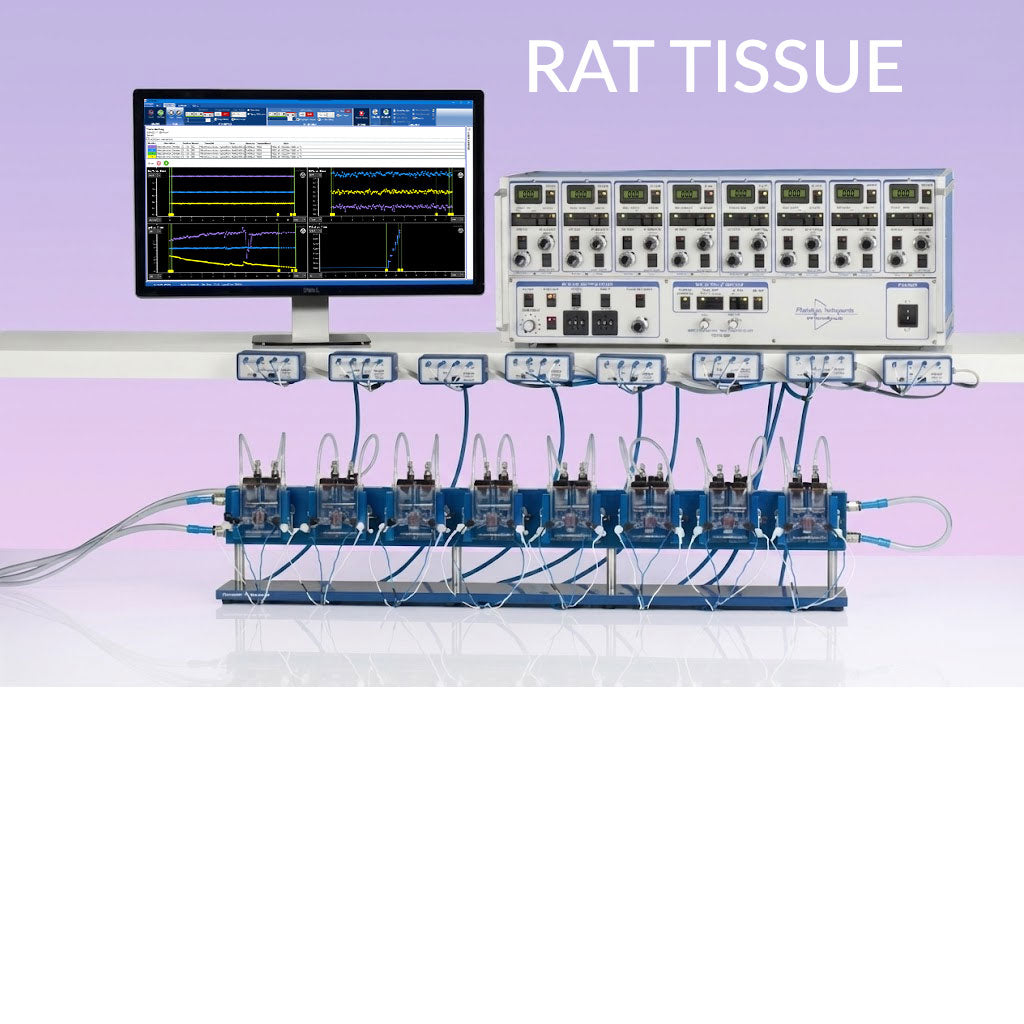 EasyMount Ussing chamber system designed for rat intestinal and epithelial tissue studies, featuring multi-channel Ussing chambers, large-format tissue sliders, voltage clamp amplifier array, perfusion and stimulation modules, and real-time electrophysiology and ion transport data monitoring for advanced transepithelial transport, TEER measurement, and Ussing chamber research applications.
