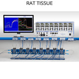 Ussing Chamber System for specifically designed for rat tissue. This Ussing Chamber system is a complete setup for any lab that would like to do research in rat intestinal tissue. Ussing Chamber System for specifically designed for rat tissue. This Ussing Chamber system is a complete setup for any lab that would like to do research in rat intestinal tissue.
