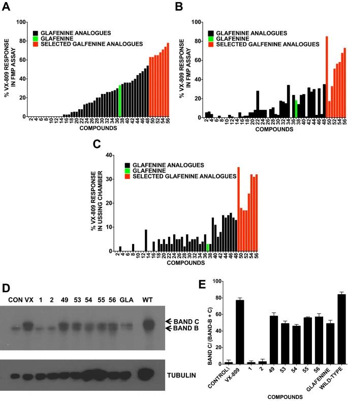 The NSAID glafenine rescues class 2 CFTR mutants via cyclooxygenase 2 inhibition of the arachidonic acid pathway