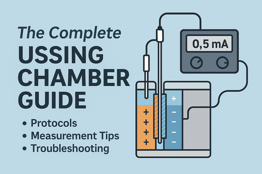 The Complete Ussing Chamber Guide - Protocols, Measuring Tips, and Troubleshooting
