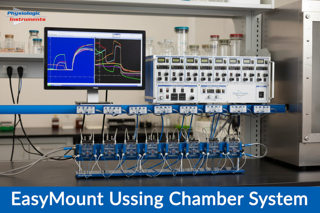How to Get Perfect Ussing Chamber Data, <br>Fix Drift, Noise, & Leaks for Good