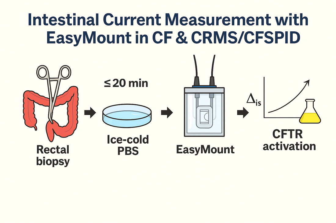 From Biopsy to Bench: A PI’s Guide to Reproducible ICM with the EasyMount P2400