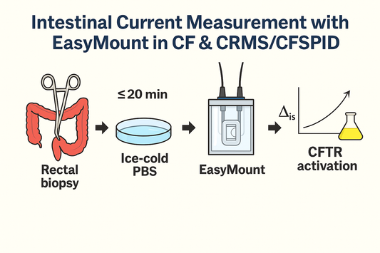 From Biopsy to Bench: A PI’s Guide to Reproducible ICM with the EasyMount P2400