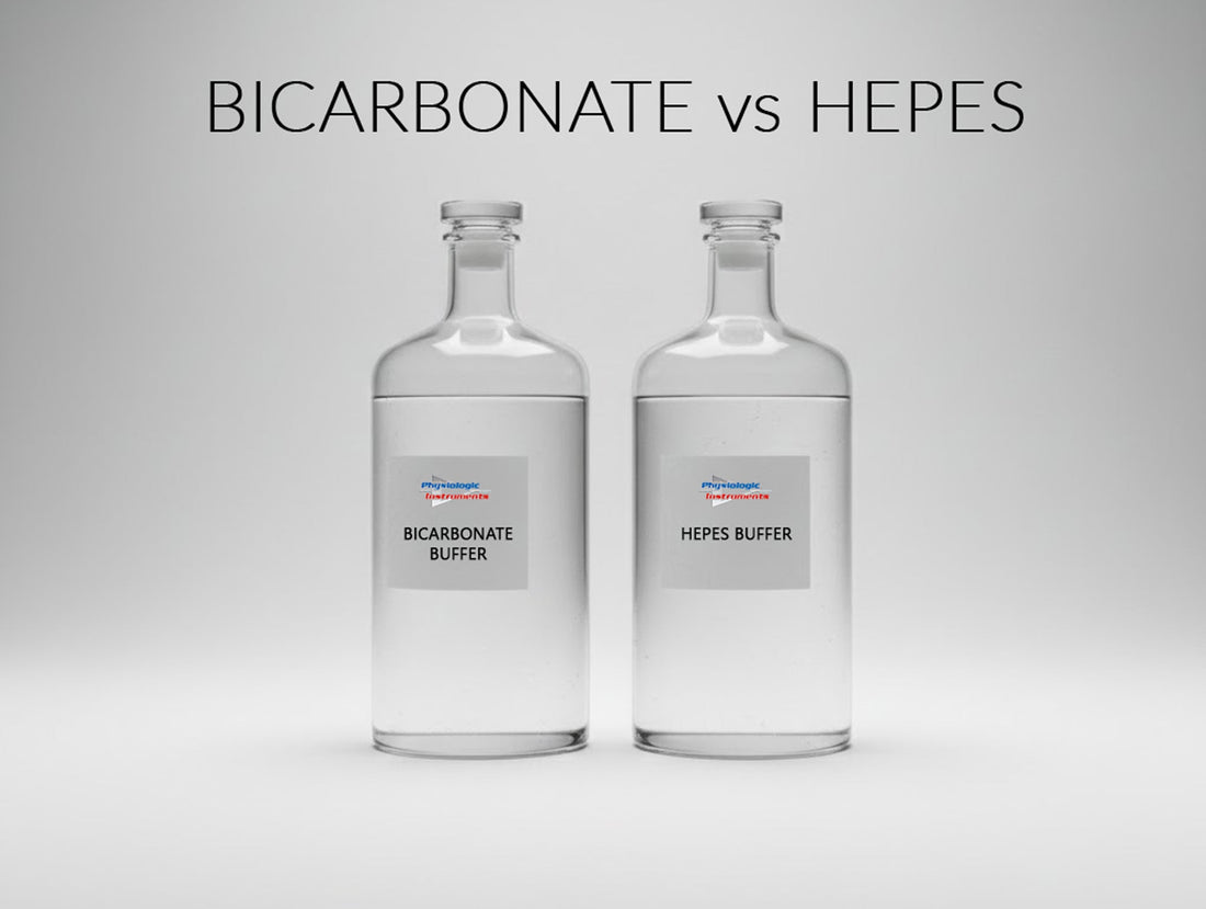 Two bottles: One is bicarbonate and other is HEPES buffer next to gas regulator tubing, illustrating buffer and gassing control for Ussing chamber experiments