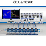 Ussing Chamber System by Physiologic Instruments — advanced Cell & Tissue samples this eight channel Ussing chamber platform designed for epithelial transport, ion channel, and CFTR research. Each complete system includes precision voltage-current clamps, EasyMount chambers, and accessories for accurate TEER and short-circuit current (SCC) measurements in cell or tissue samples. 